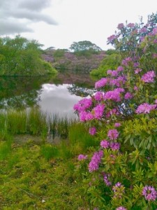 Llyn Ruck