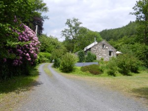 Stablau drive & parking